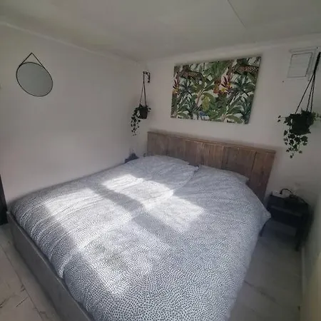 De Vier Jaargetijden Jungle 샬레 *