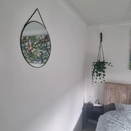 Alpstuga De Vier Jaargetijden Chalet Jungle Voorthuizen