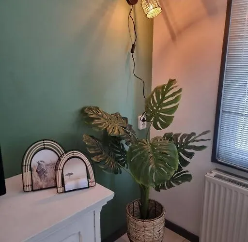 Alpesi faház De Vier Jaargetijden Jungle