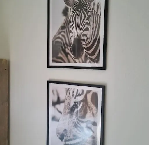 De Vier Jaargetijden Jungle * Voorthuizen