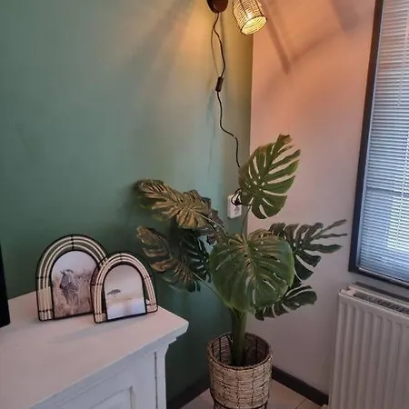 Chalet De Vier Jaargetijden Jungle