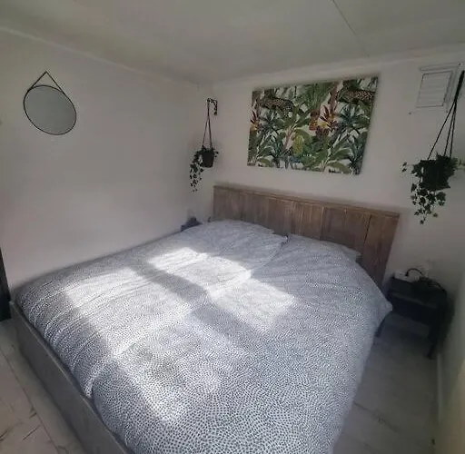 De Vier Jaargetijden Jungle 木屋 *