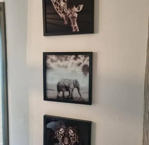 De Vier Jaargetijden Jungle 木屋 福尔特赫伊曾