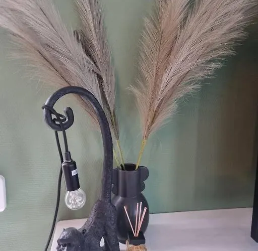 木屋 De Vier Jaargetijden Jungle 福尔特赫伊曾